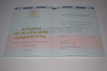 Диплом Адъюнктуры 2024г в Мурманске